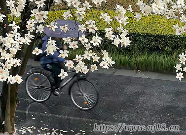 無人使用的極品ID 生僻卻美到爆的網名