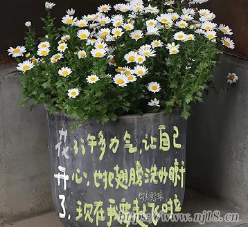 2023失戀傷感網名男生心碎 絕望看透了死心網名