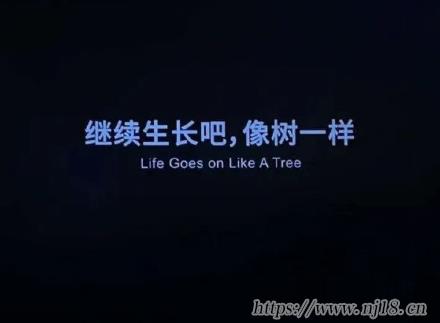 容易吸引人的微信網名 穩重又很氣質的網名