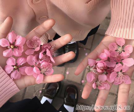 心死的網名絕望傷感 2023絕望時用的昵稱