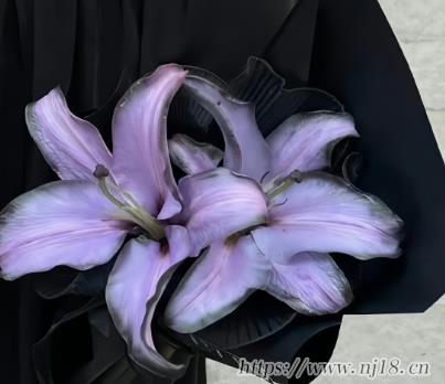 一眼就看出深度悲傷且emo的網名 未注冊的傷感情緒化網名