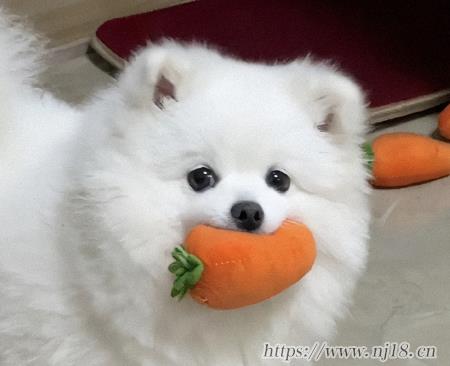 拒絕焦慮的網名最新 看了心情就好的昵稱