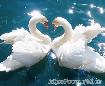 符號情侶網名與眾不同 超恩愛好看的符號情侶名