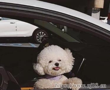 一個字的傷感網名深奧高冷 孤獨且痛心的一字昵稱