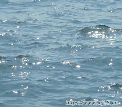 一看就舒服的微信網名 叫人一見就有好感的網名