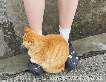 腦洞大開的網名最新 聽起來就很與眾不同的昵稱