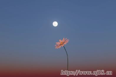 一肚子怨氣的網名 明示自己不開心的昵稱