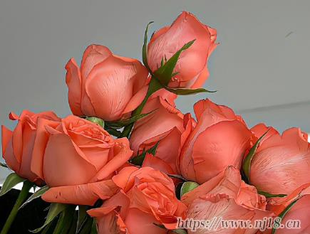 後悔心涼的網名最新 心痛的傷感昵稱合集