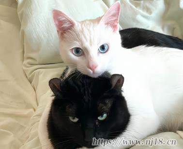 個性網名2023抖音超火 最潮的個性昵稱