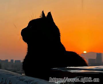 讓你不再頻繁換昵稱的個性網名 用了就不想換的三字網名