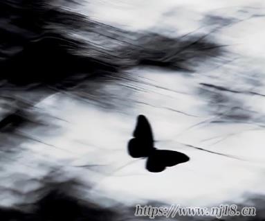 心涼透了的網名很失望 讓眼眶翻紅的昵稱