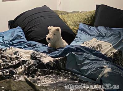 帥氣男生專屬昵稱高冷 小眾版的帥哥網名