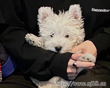 心痛心累心碎的網名 寒心了心碎了網名