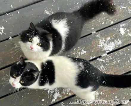 享受快樂的四字網名女生 開心快樂的網名有氣質女