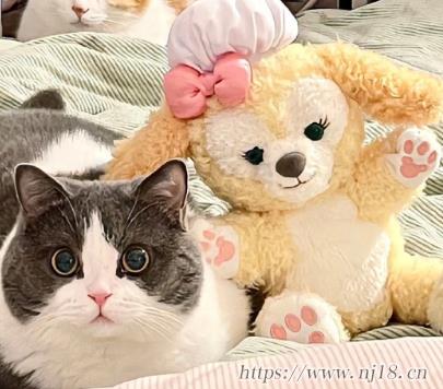 勵誌小眾的個性網名 平淡又內涵的網名