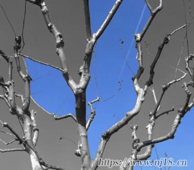 情緒類的小眾網名 猜你在找網名