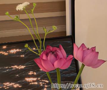 普通中暗藏浪漫的昵稱 小眾風格的優質昵稱