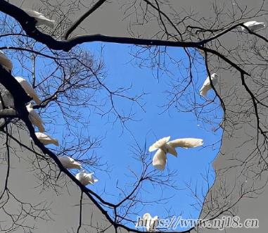 男人低穀期最合適的網名 傷感二字昵稱簡短