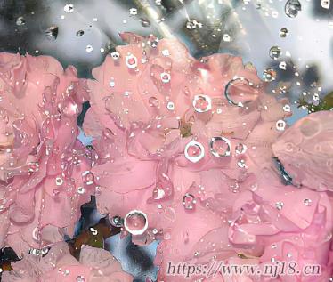 保持一顆好心態的網名 陽光且積極的昵稱