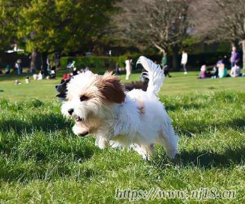 小眾顯高級的很特別的昵稱 淩晨五點碰麵
