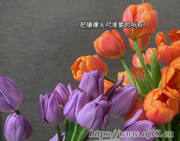 很美好的個性網名 精選氣質款的個性昵稱