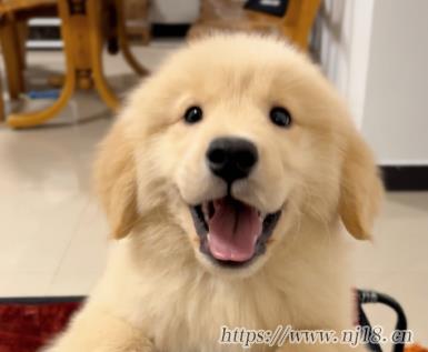 霸氣勵誌永不服輸高冷網名 成功人士標配網名