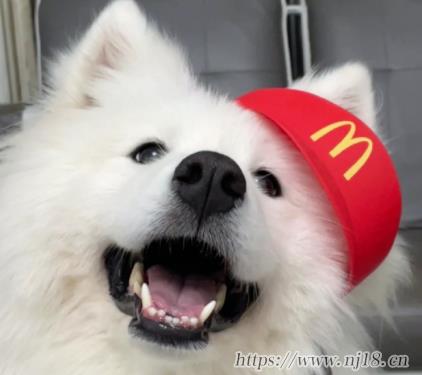 兄弟姐妹好聽群聊名稱 兄弟姐妹創意群昵稱大全