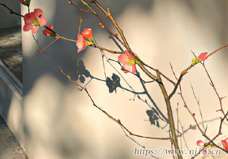 傳遞正能量的網名帶給你的眾多好處 怎能累了就說放棄