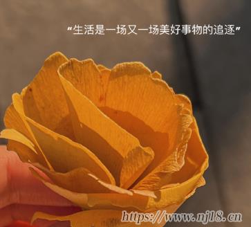 2024扣扣網名女生獨特傷感 高端局必備的高冷傷感id
