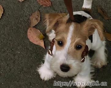 對過去釋懷的網名大全 忘記過去的霸氣網名
