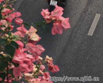 高級感昵稱比較甜美 2024溫柔深入人心的昵稱